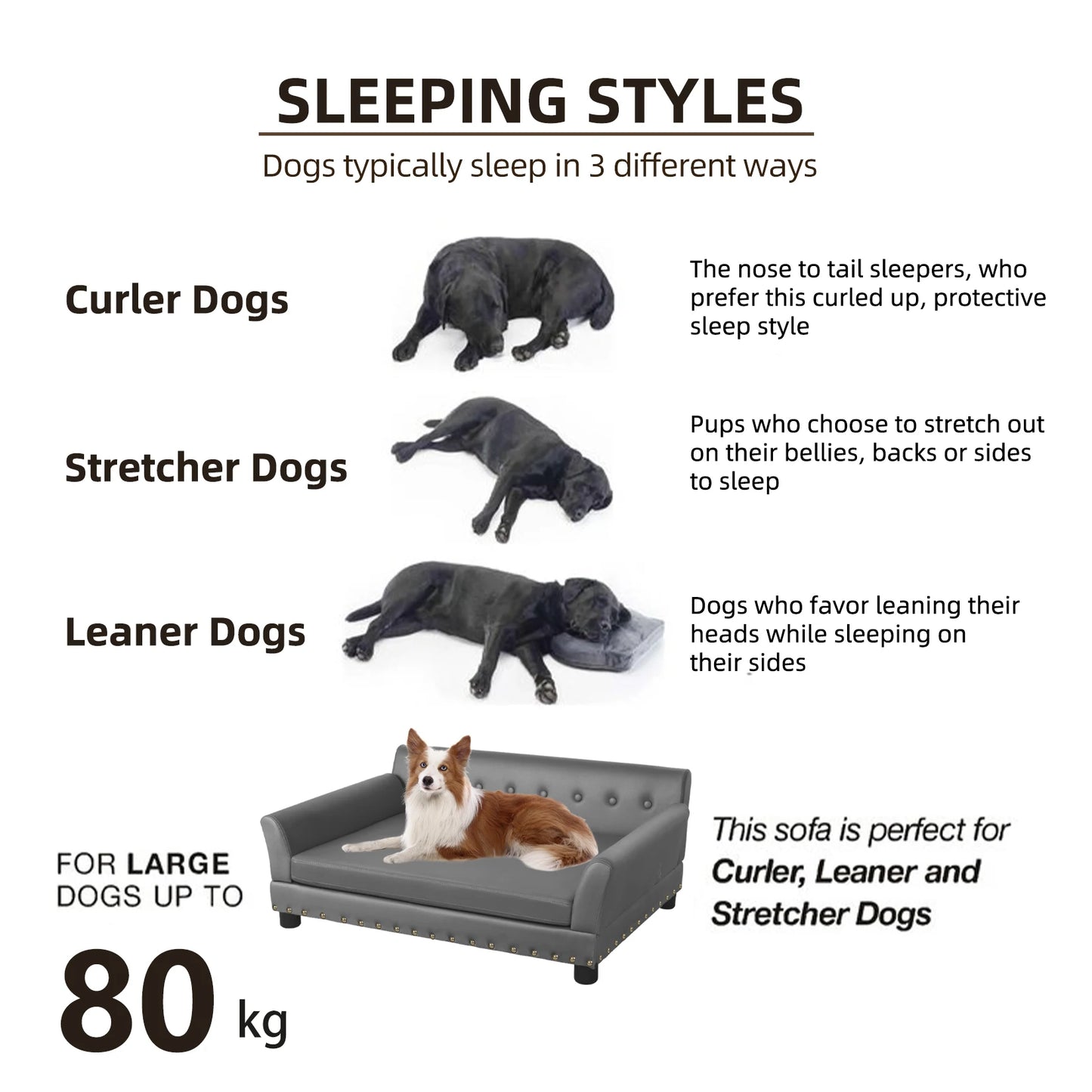 Bingopaw Elevated Microfiber Leather Dog Sofa With Removable Cushion