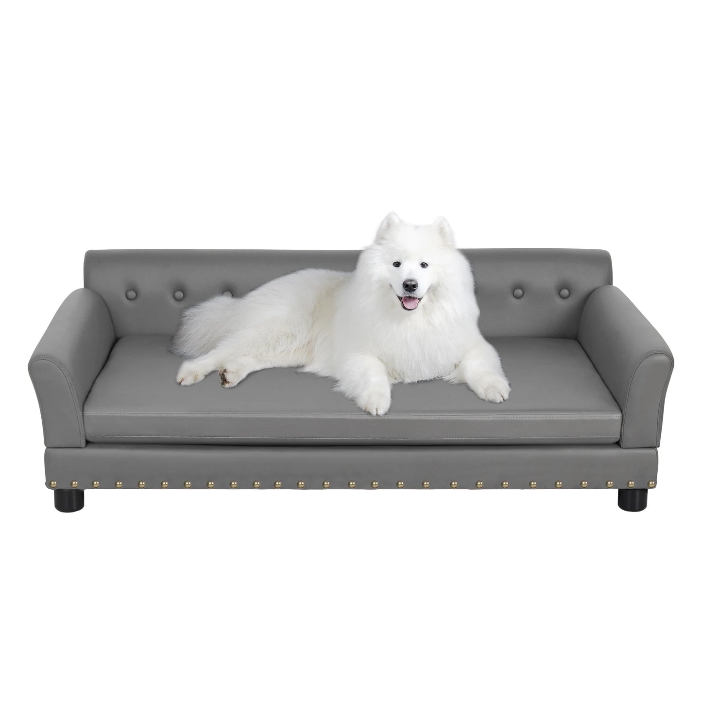 BINGOPAW Elevated Rectangle Dog Bed for Medium and Large Dogs