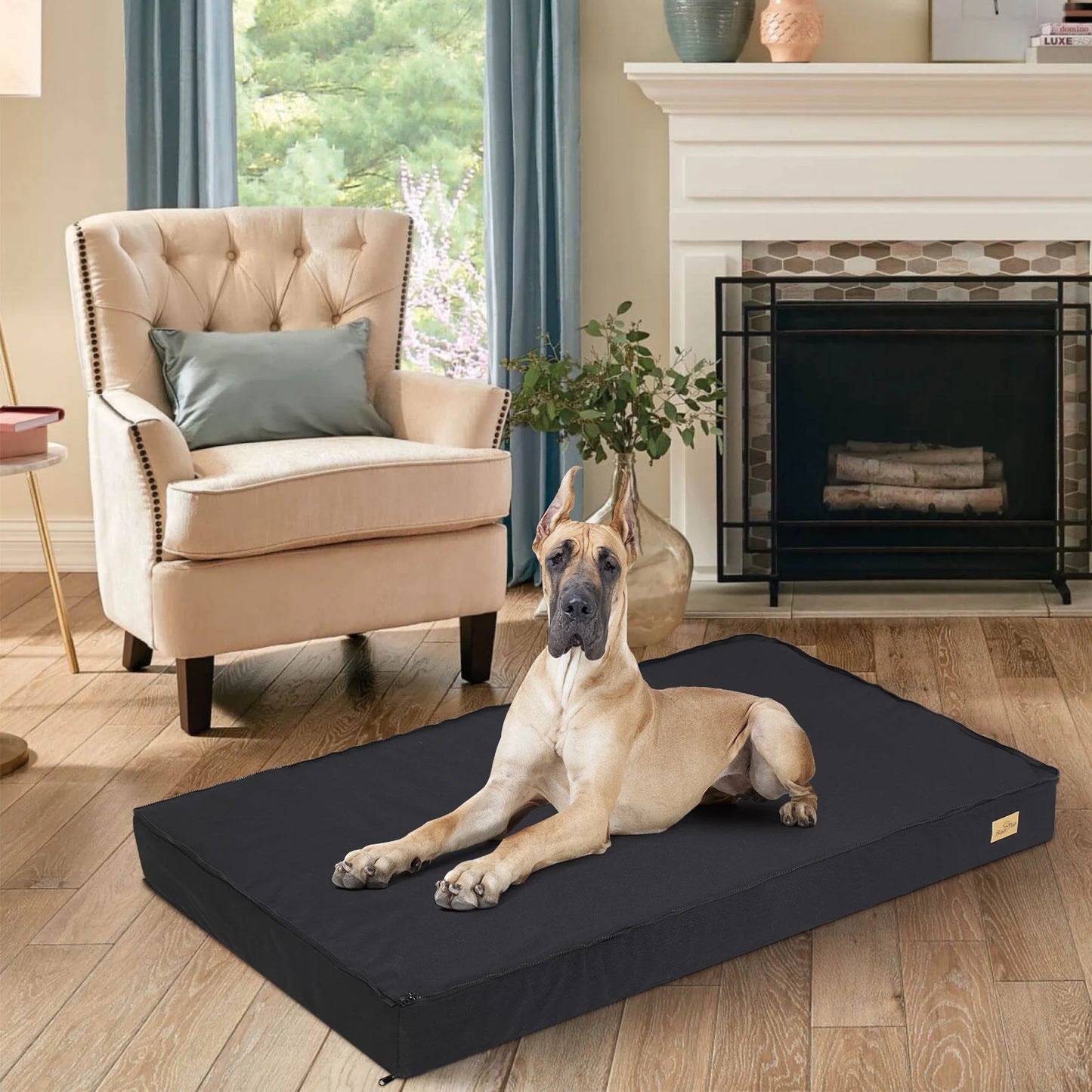Jumbo Orthopedic Memory Foam Dog Bed With Washable Cover