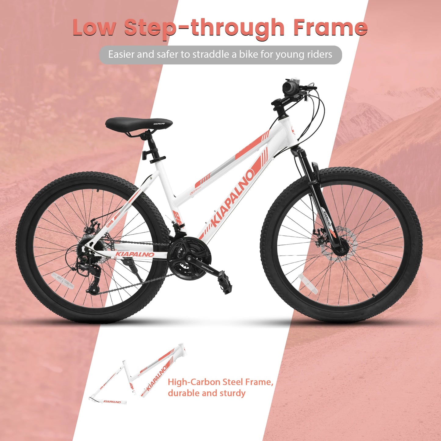 Ecarpat Mountain Bike 21 Speed Steel Frame Dual Disc Brakes
