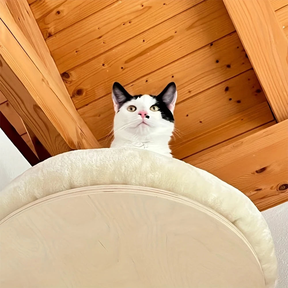 PETRAVEL Cat Wall Mounted Wooden Climbing Ladder Hammock Scratching Post