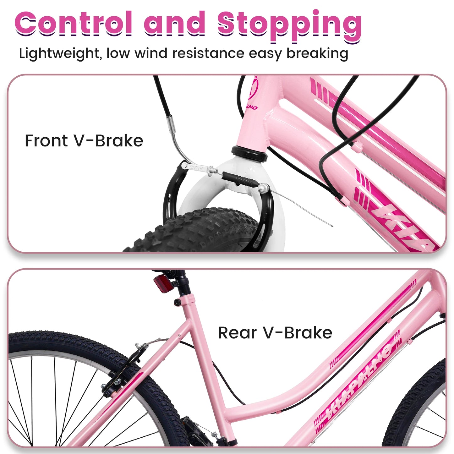 Ecarpat Women's Mountain Bike 21 Speed With V Brake