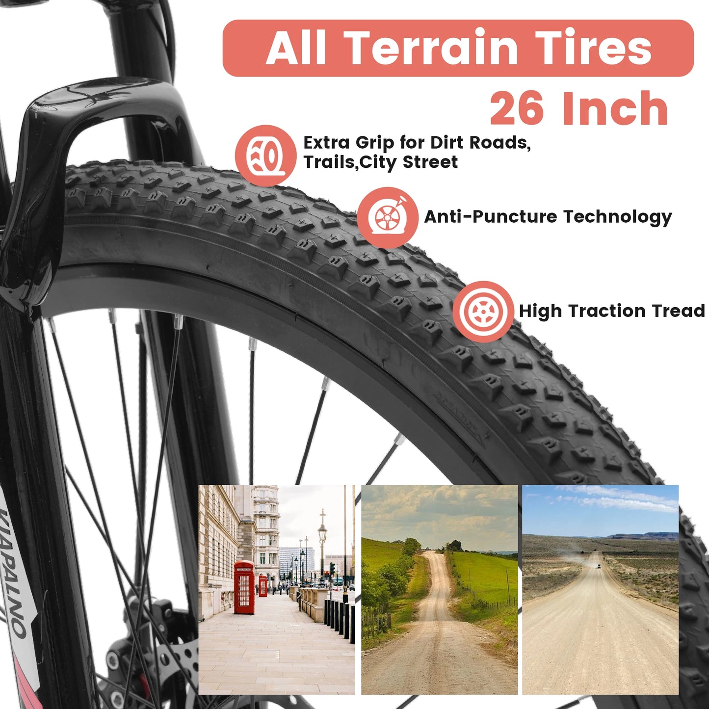 Ecarpat Mountain Bike 21 Speed Steel Frame Dual Disc Brakes
