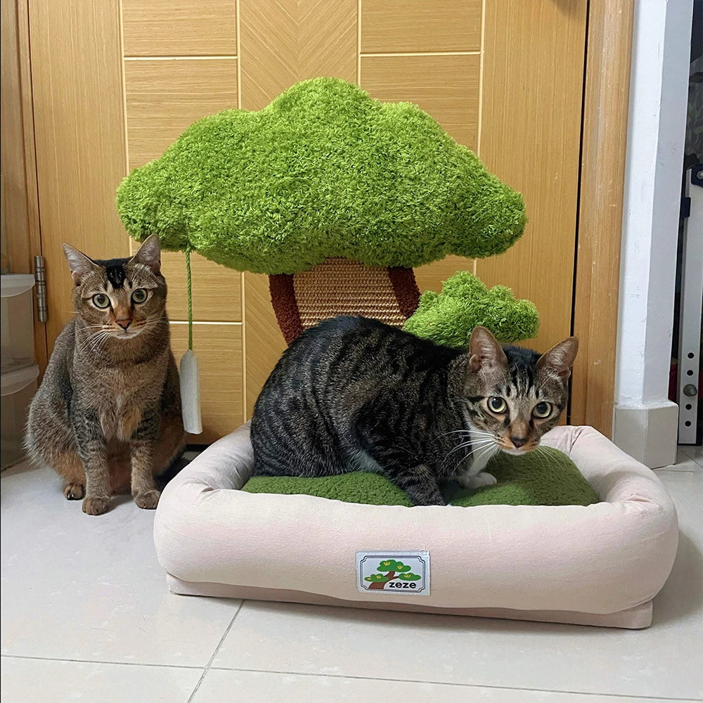 Minimalist Cat Bed With Integrated Scratching Post