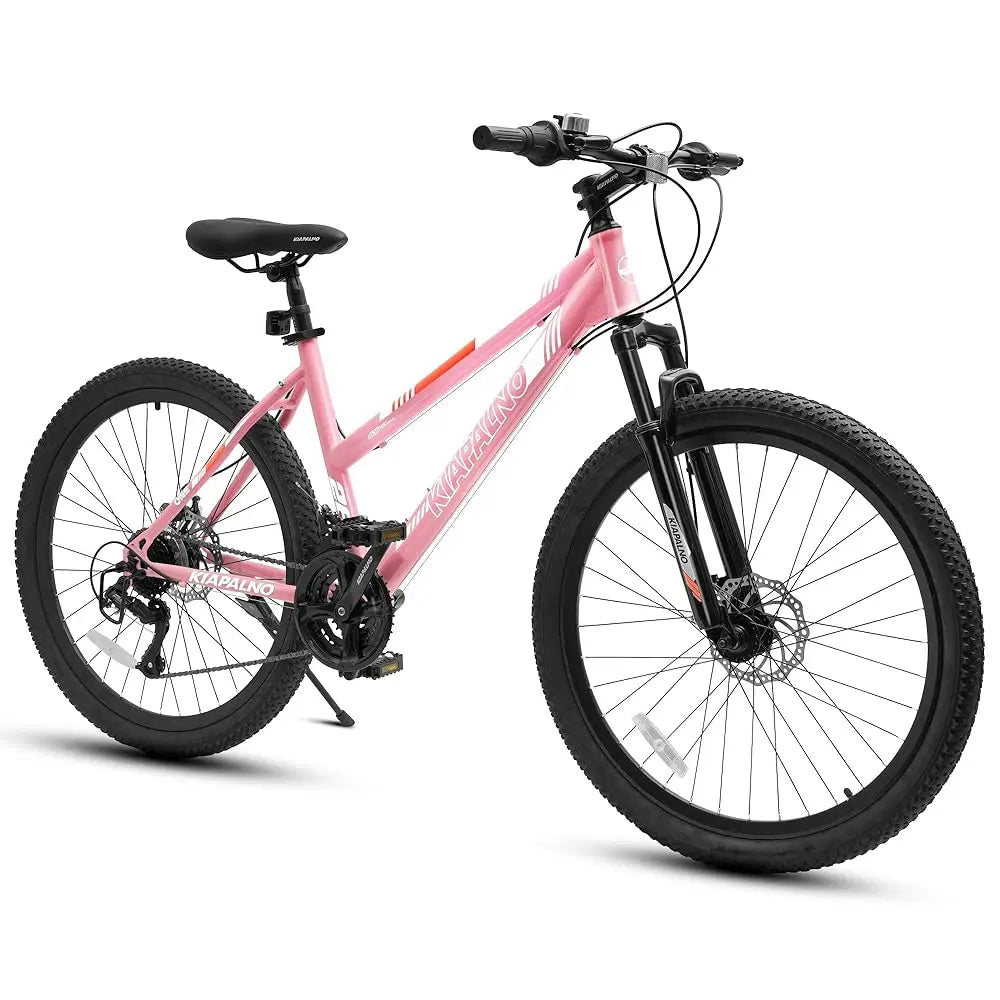 Ecarpat Mountain Bike 21 Speed Steel Frame Dual Disc Brakes