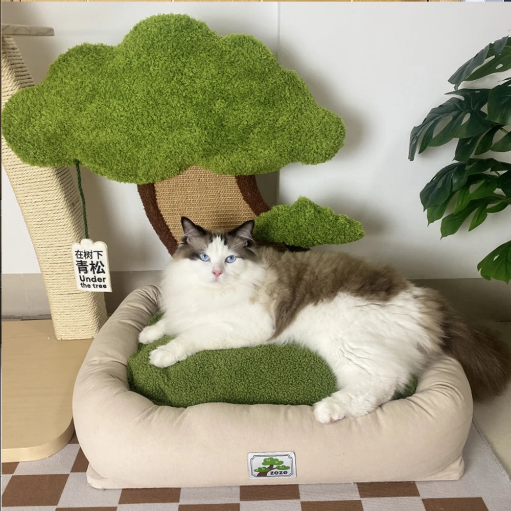Minimalist Cat Bed With Integrated Scratching Post