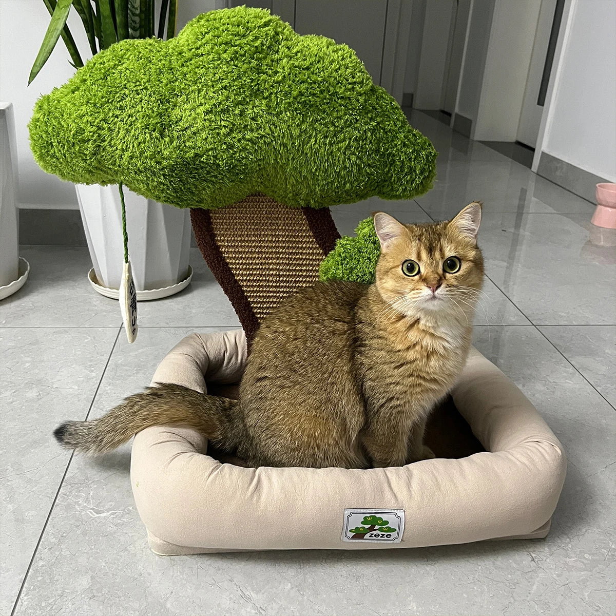 Minimalist Cat Bed With Integrated Scratching Post